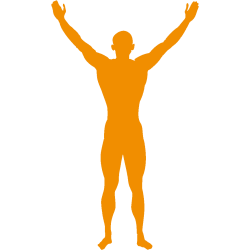 fysio Frankenhof bodychart